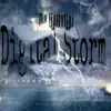 DJ BabyGal - Digital Storm - Single